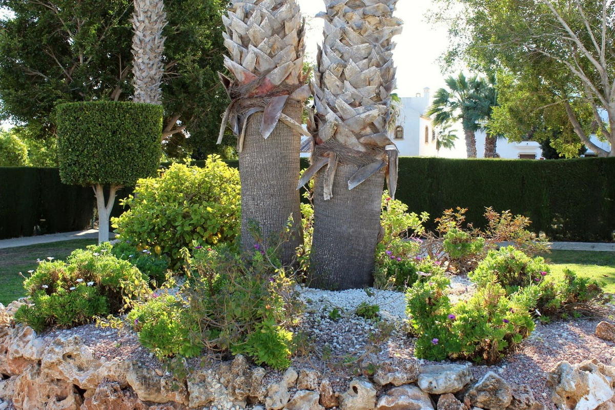 Se vende Apartamento Planta Media de 3 dormitorios en Costa Blanca, Alicante, España