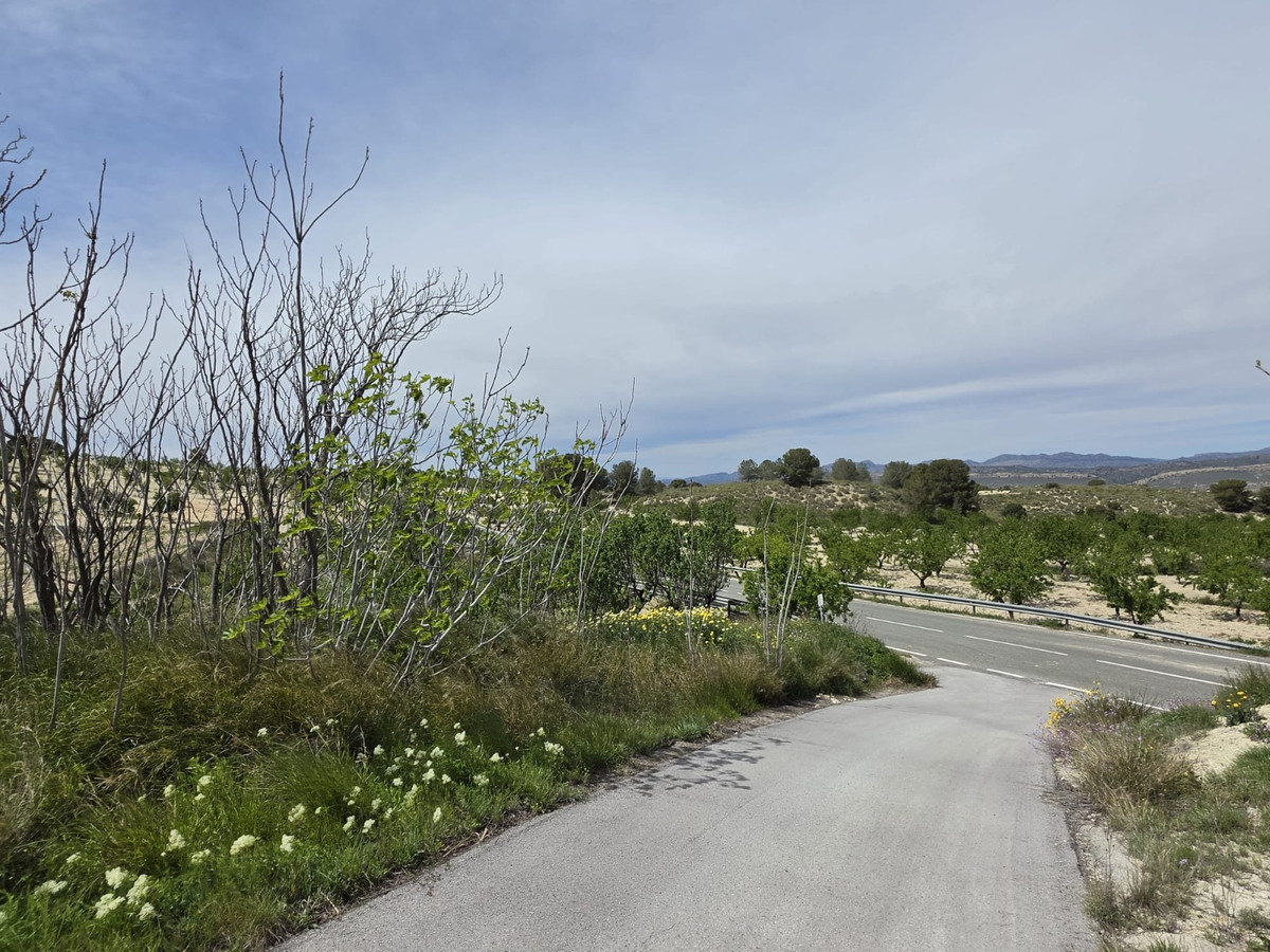 Se vende Casa Cueva de 2 dormitorios en Costa Calida, Murcia, España