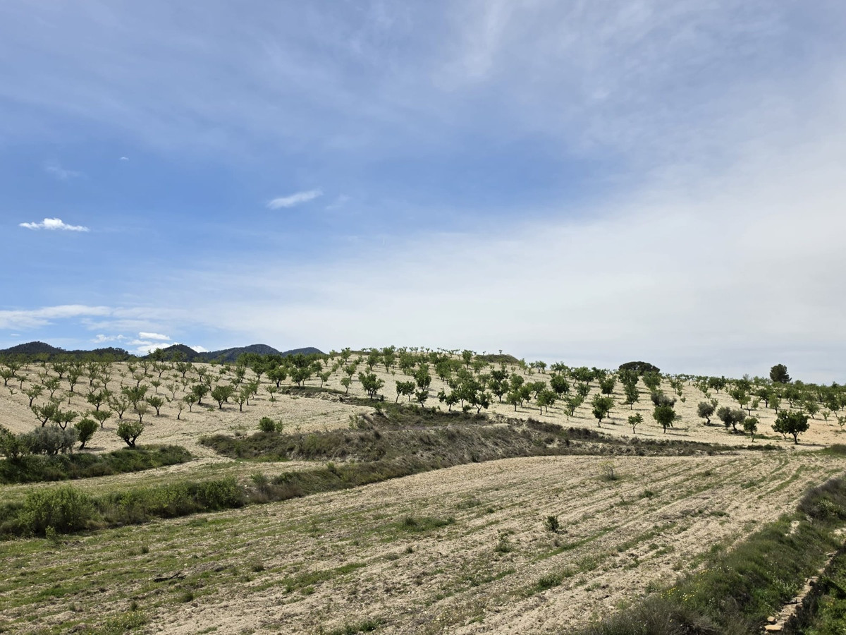 Se vende Casa Cueva de 2 dormitorios en Costa Calida, Murcia, España
