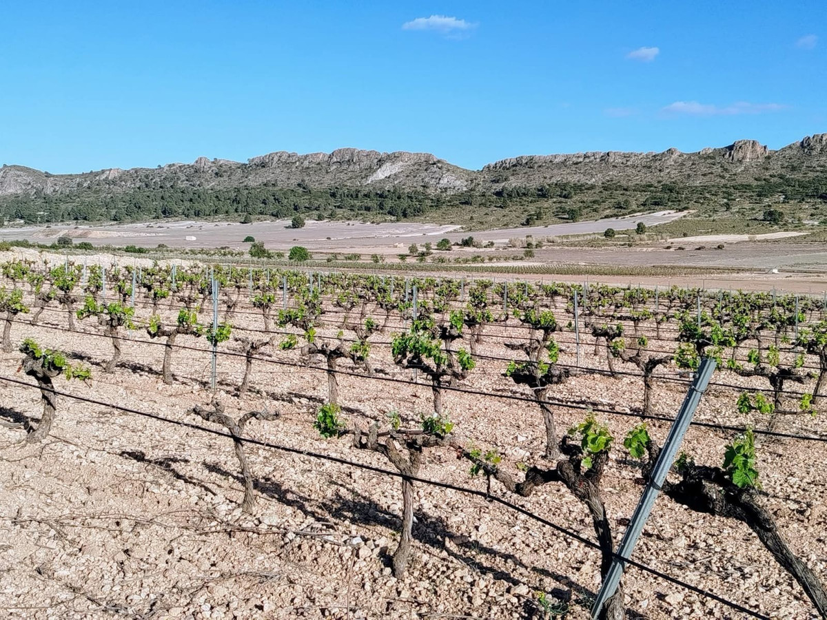 Se vende Finca - Cortijo de 3 dormitorios en Costa Calida, Murcia, España