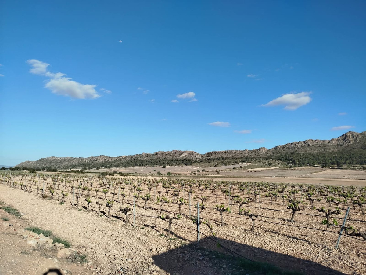 Se vende Finca - Cortijo de 3 dormitorios en Costa Calida, Murcia, España