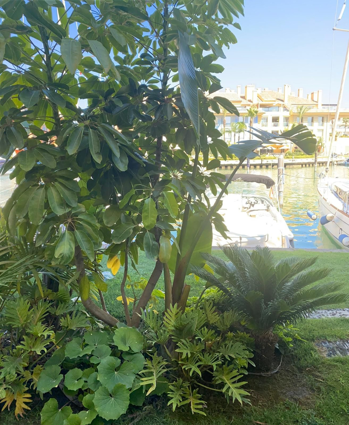 Se vende Dúplex de 4 dormitorios en Costa Del Sol, Cadiz, España