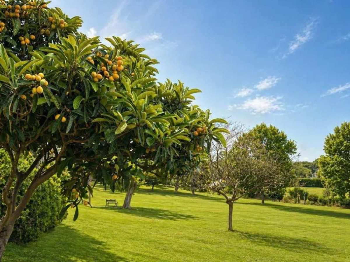 Se vende Apartamento Planta Baja de 2 dormitorios en Costa Del Sol, Málaga, España