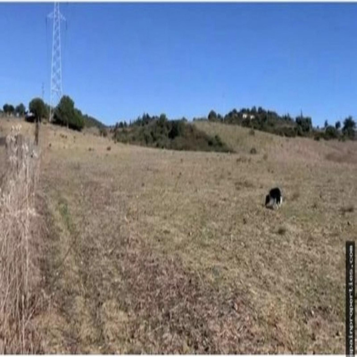 Se vende Terreno Rustico  en Costa Del Sol, Cadiz, España