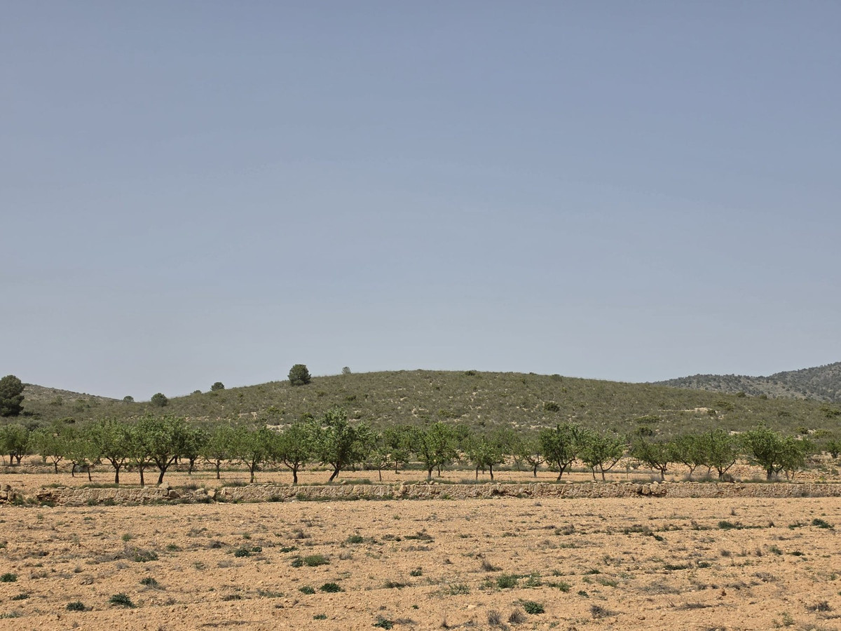 Se vende Terreno Rustico  en Costa Blanca, Alicante, España