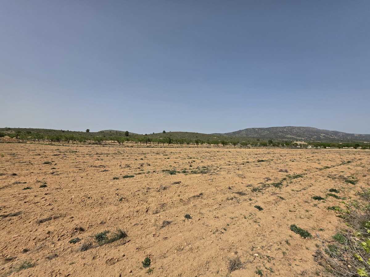 Se vende Terreno Rustico  en Costa Blanca, Alicante, España