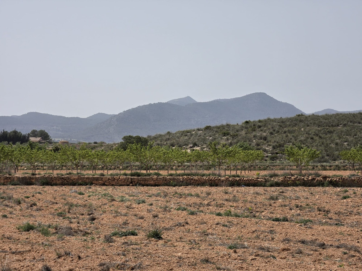 Se vende Terreno Rustico  en Costa Blanca, Alicante, España