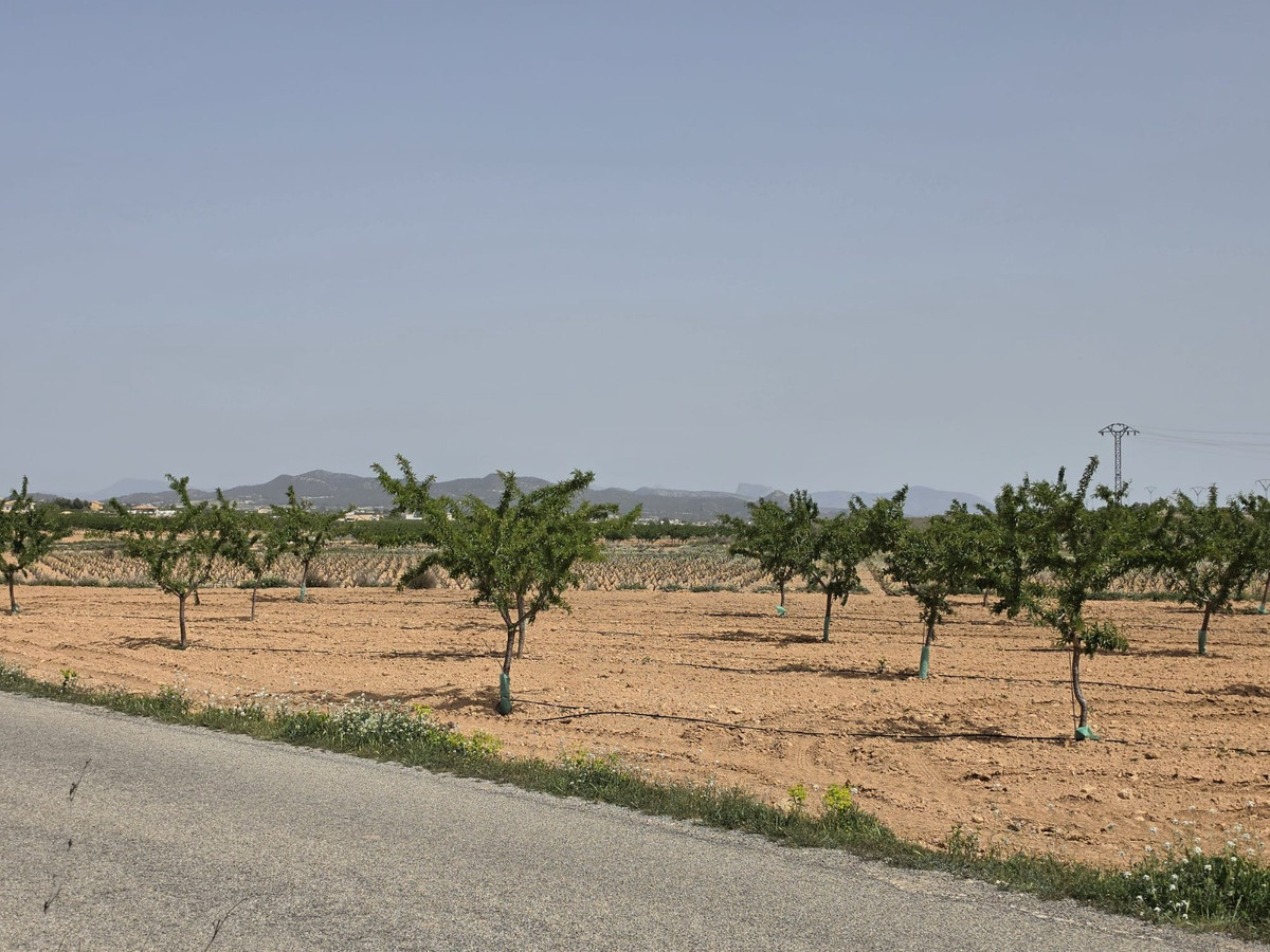 Se vende Terreno Rustico  en Costa Blanca, Alicante, España