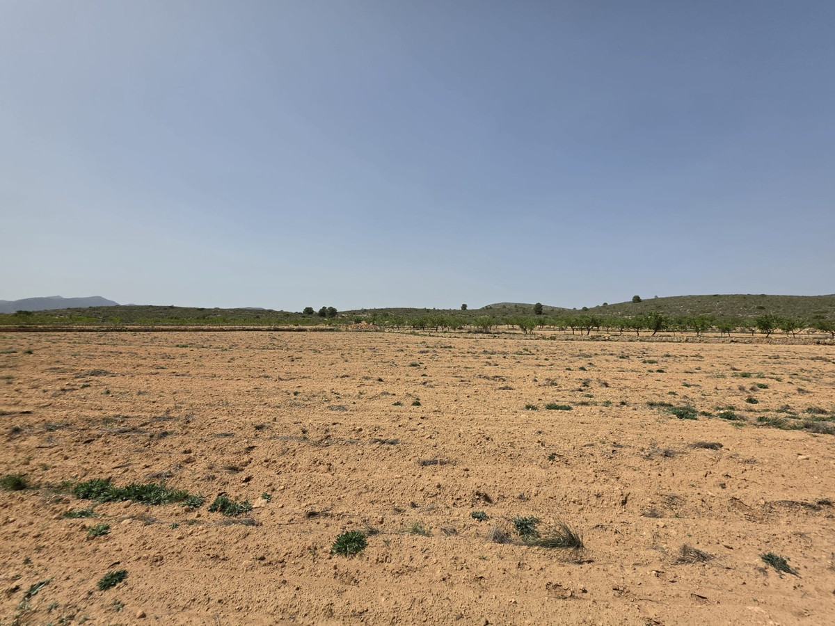 Se vende Terreno Rustico  en Costa Blanca, Alicante, España
