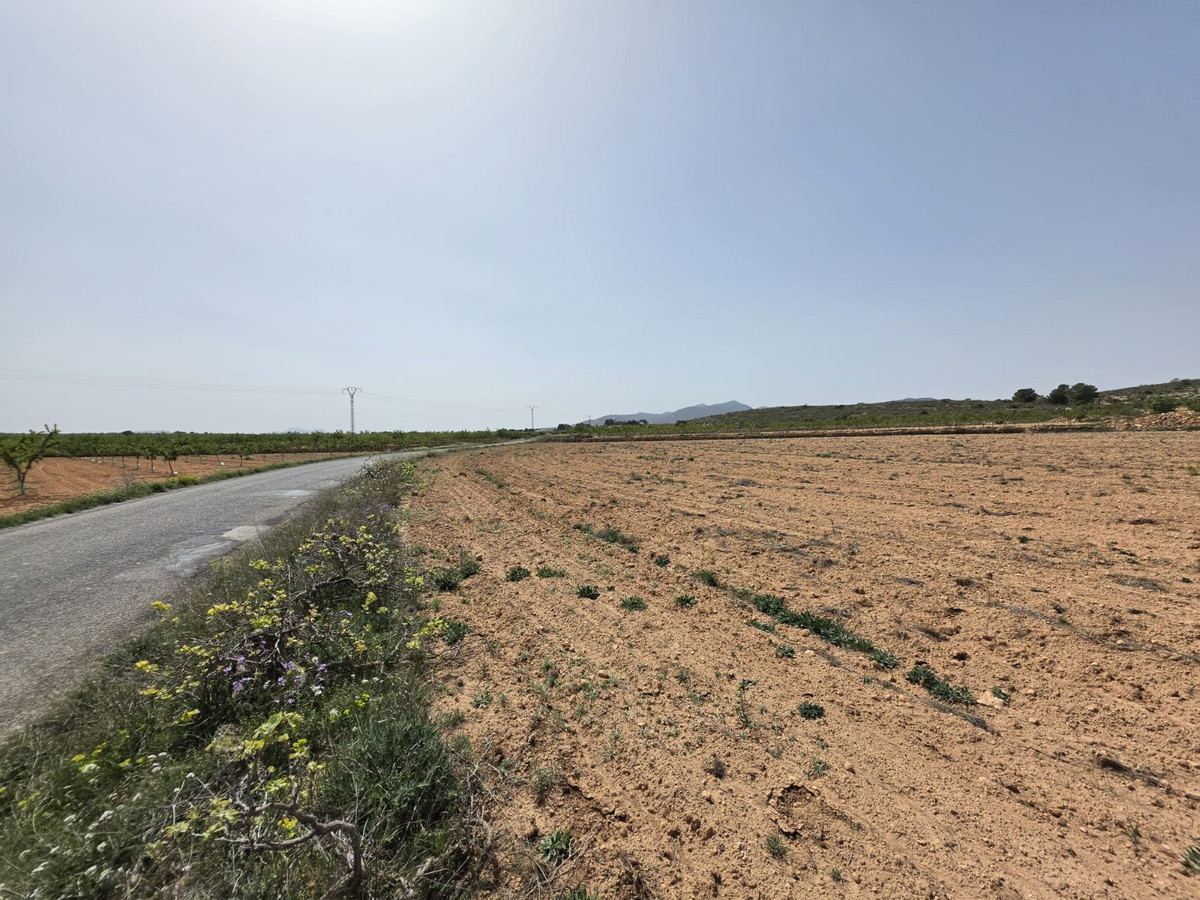 Se vende Terreno Rustico  en Costa Blanca, Alicante, España