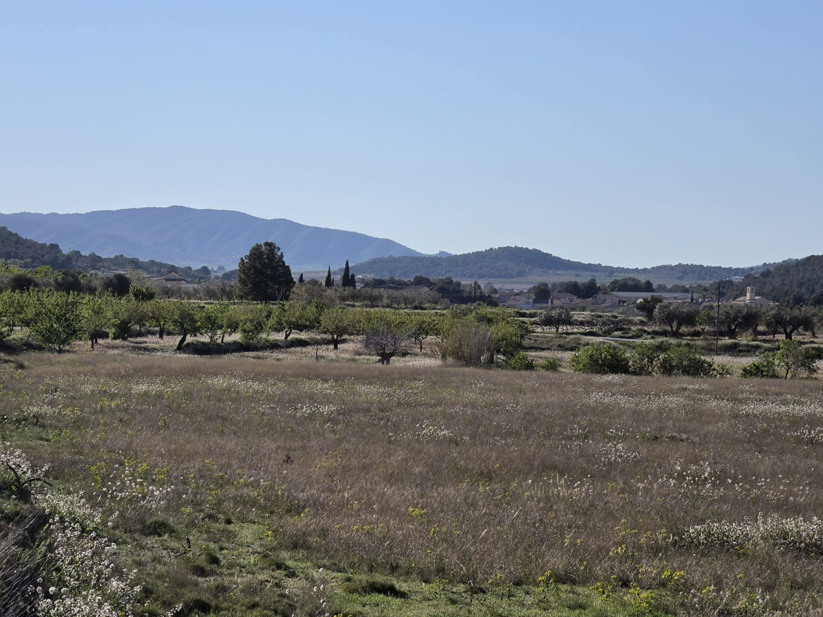 Plots for sale in Monóvar Costa Blanca, Alicante, Spain