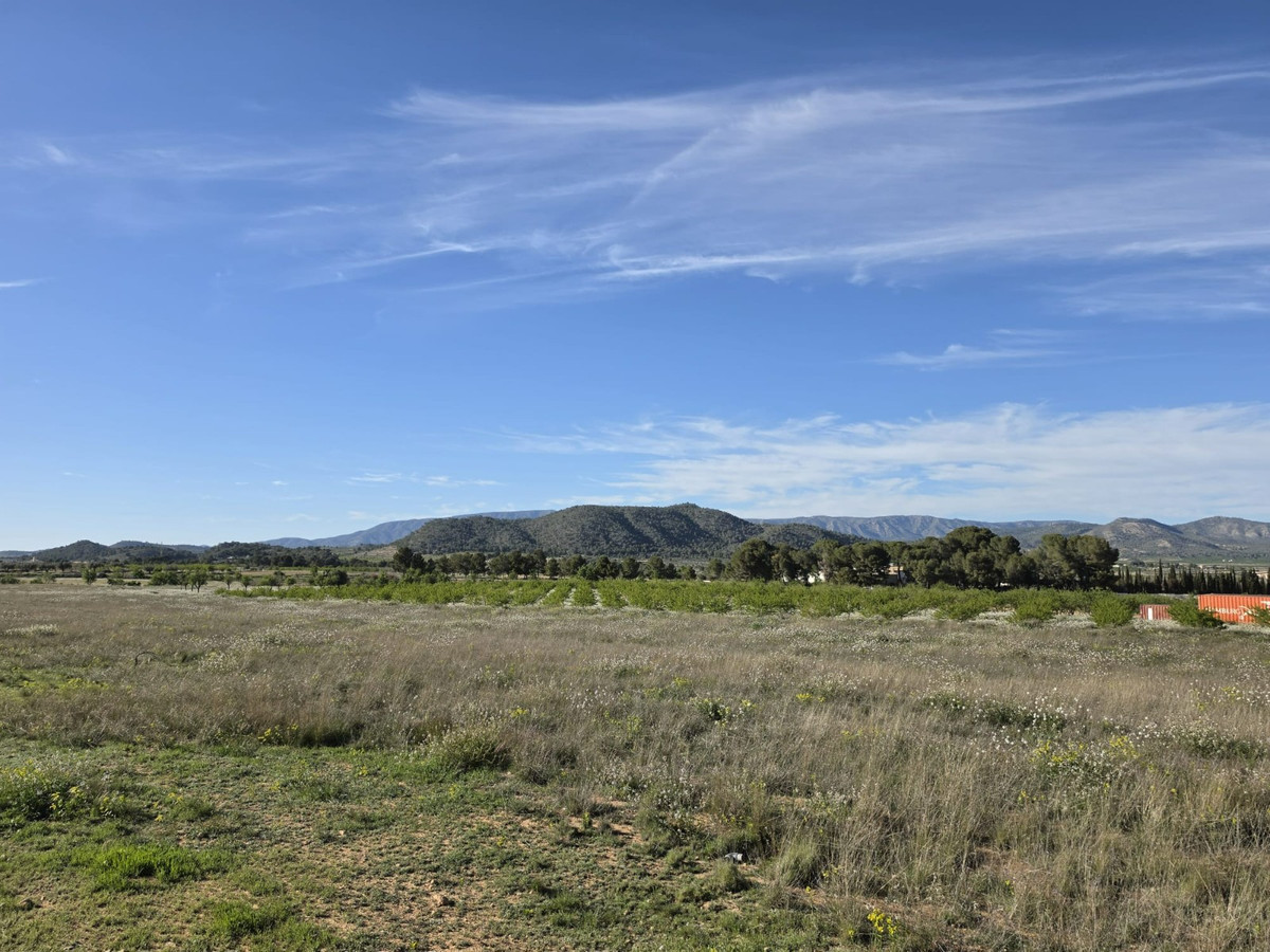 Plots for sale in Monóvar Costa Blanca, Alicante, Spain