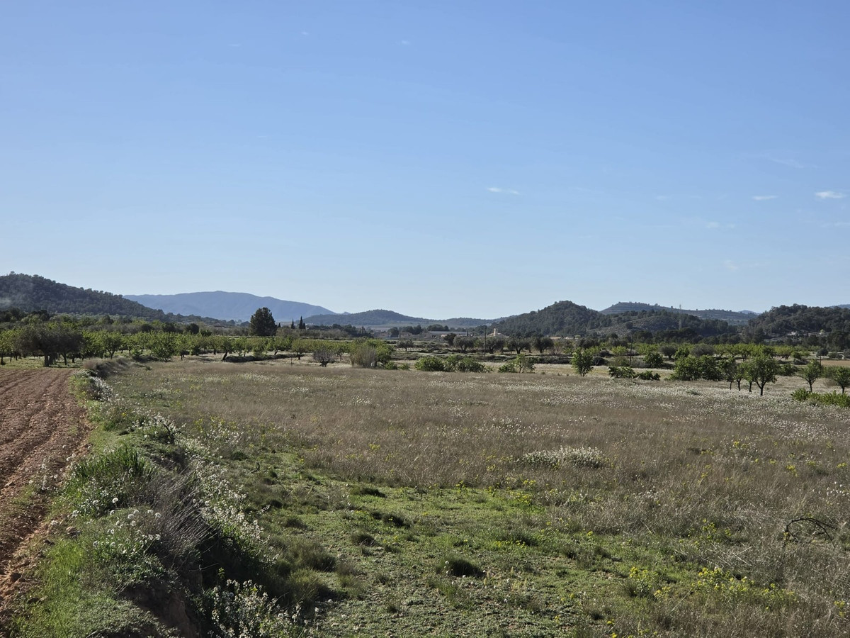 Plots for sale in Monóvar Costa Blanca, Alicante, Spain