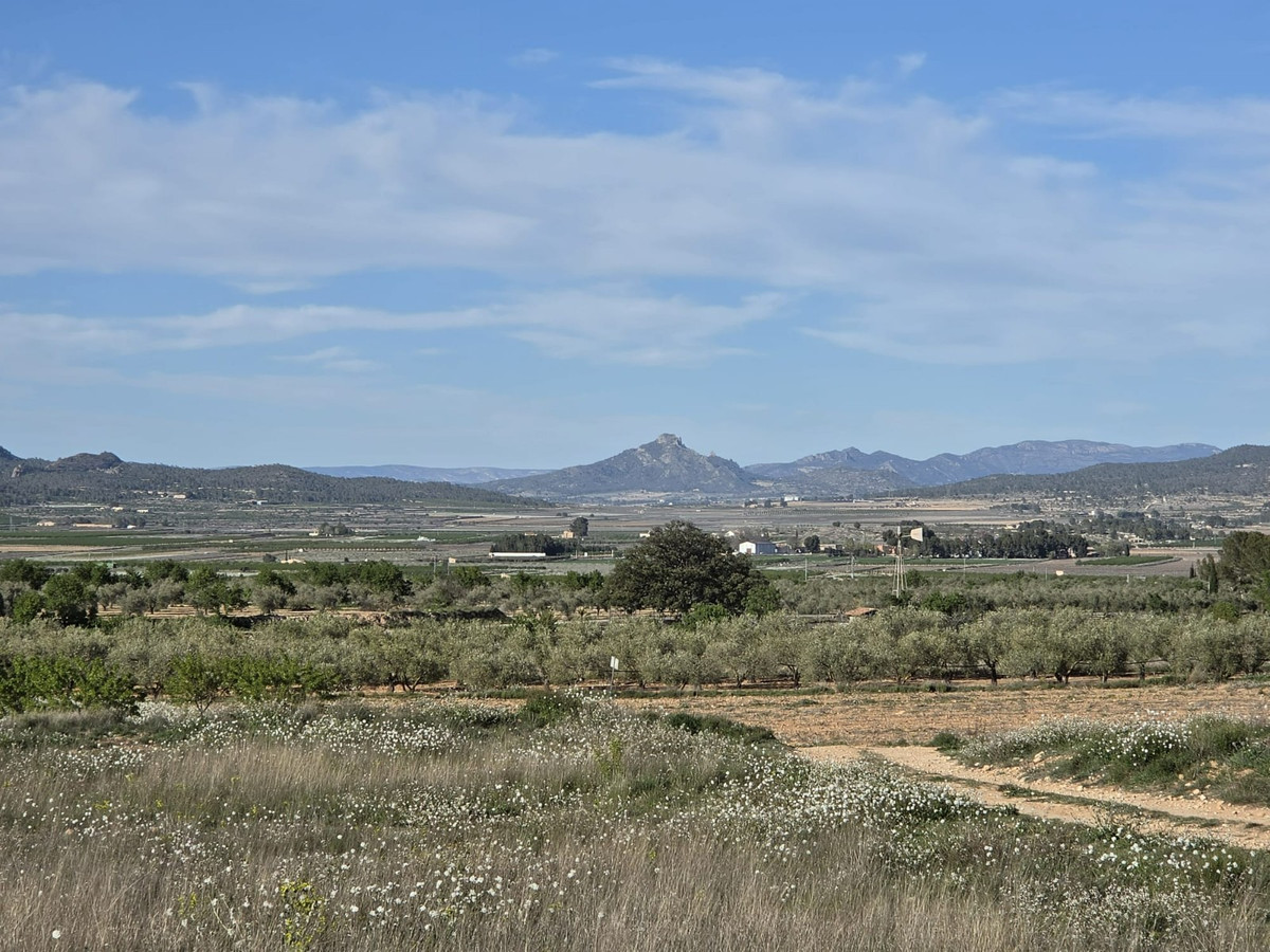 Plots for sale in Monóvar Costa Blanca, Alicante, Spain