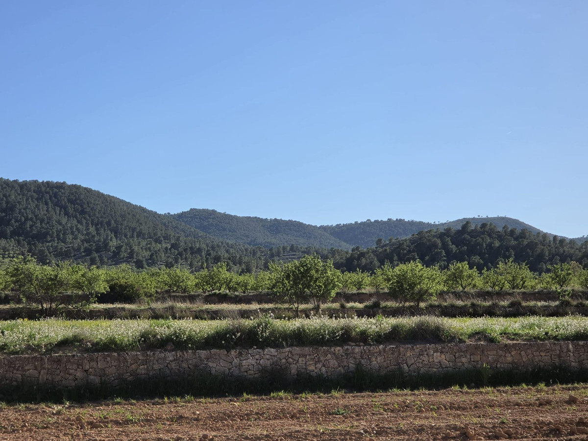 Plots for sale in Monóvar Costa Blanca, Alicante, Spain