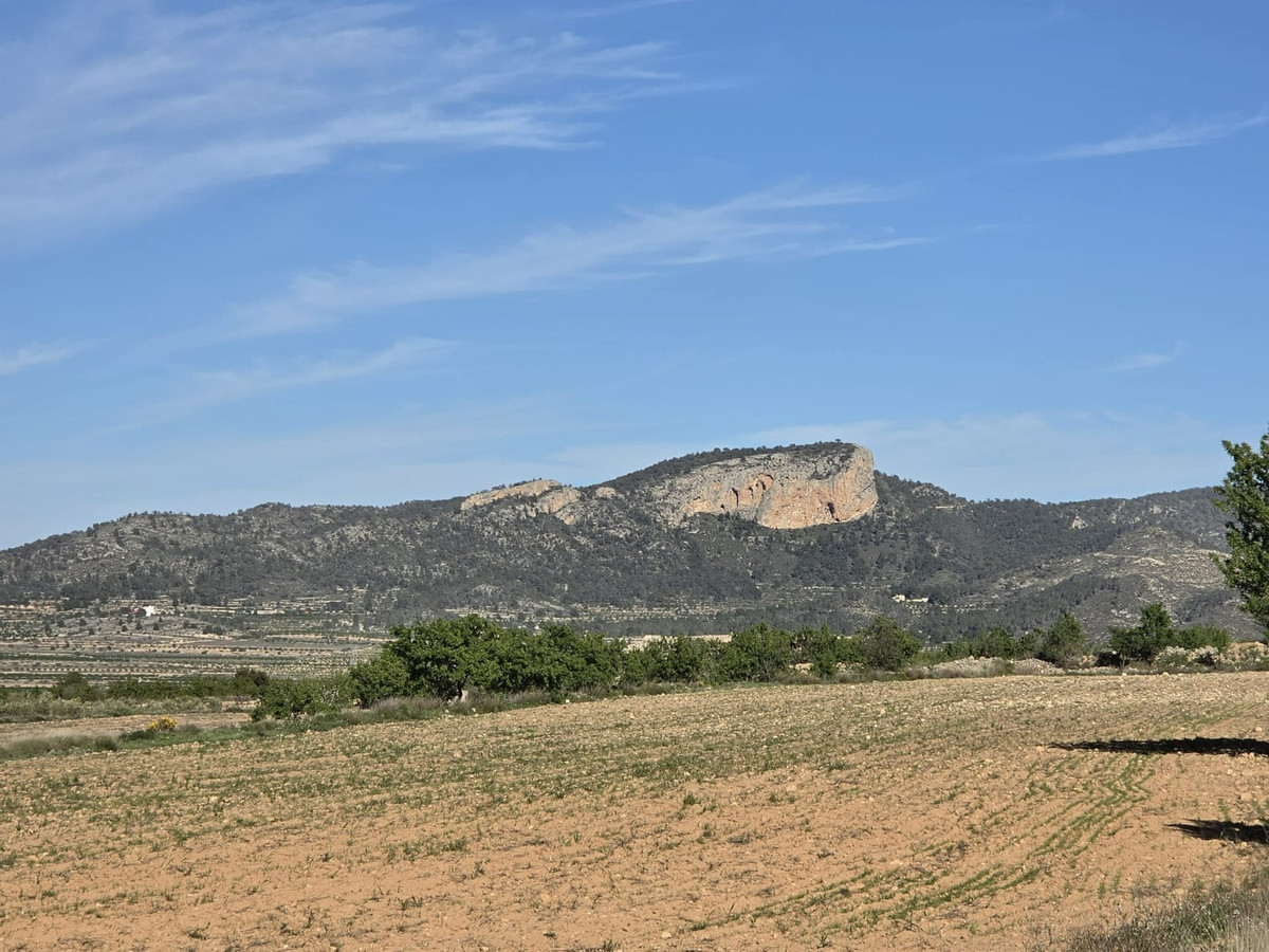 Plots for sale in Monóvar Costa Blanca, Alicante, Spain