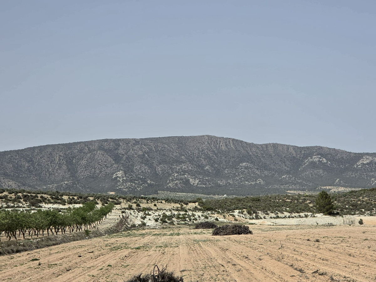 Se vende Terreno Rustico  en Costa Blanca, Alicante, España