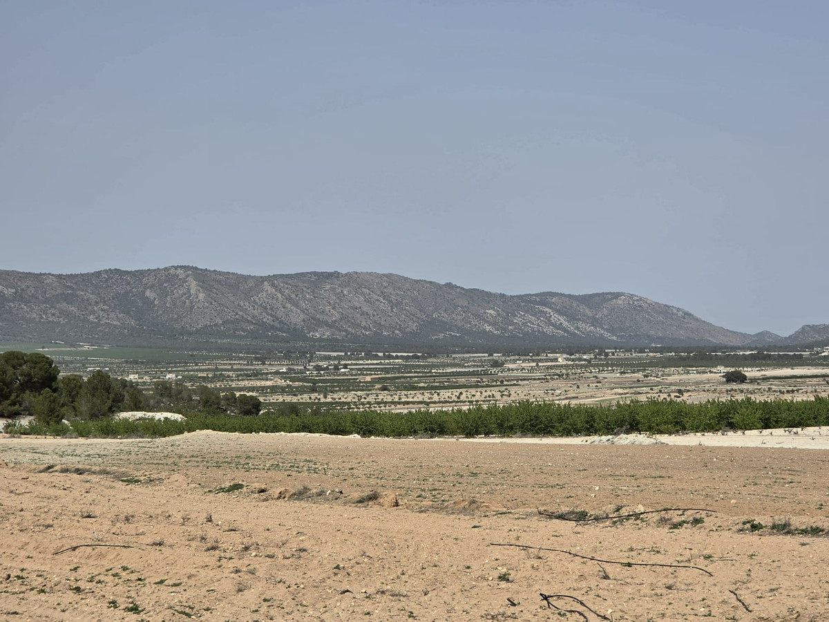 Se vende Terreno Rustico  en Costa Blanca, Alicante, España