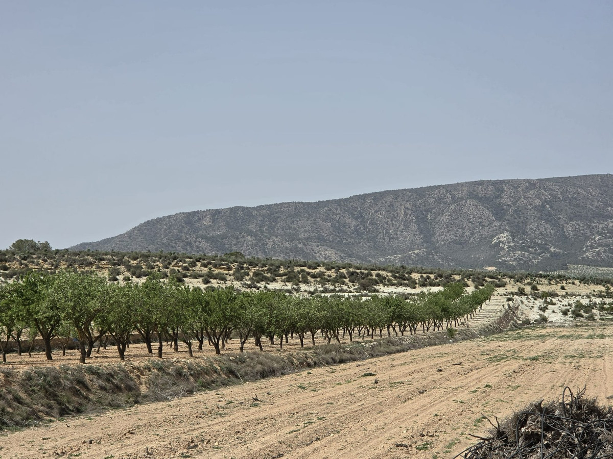 Se vende Terreno Rustico  en Costa Blanca, Alicante, España
