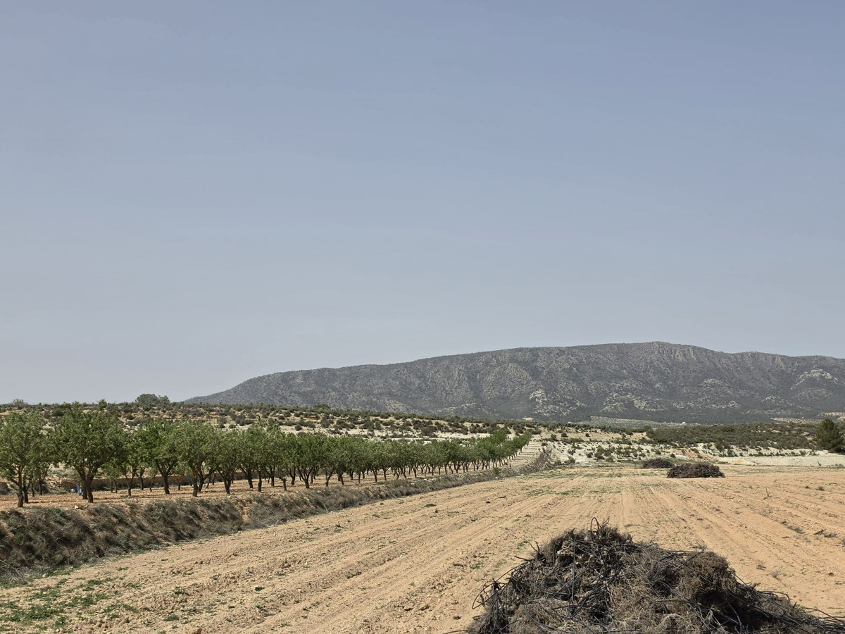 Se vende Terreno Rustico  en Costa Blanca, Alicante, España
