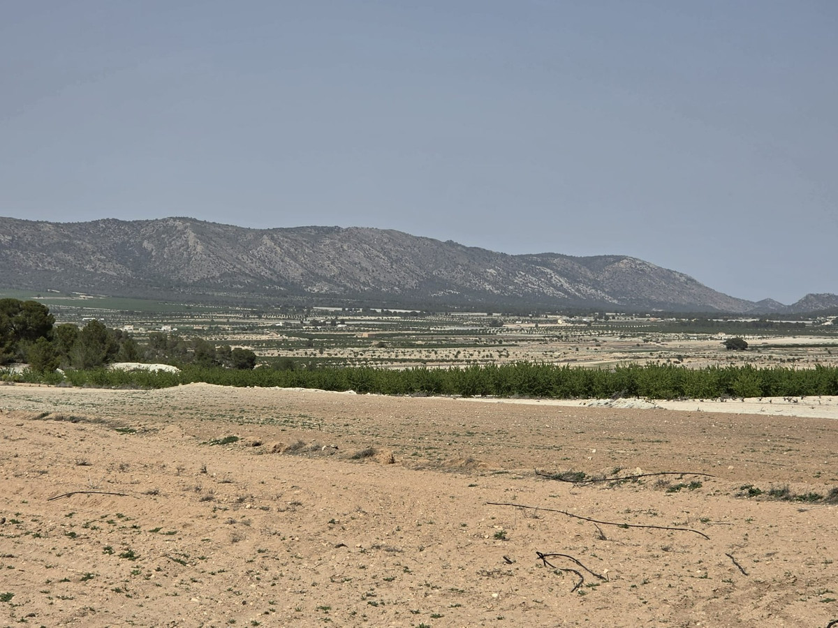 Se vende Terreno Rustico  en Costa Blanca, Alicante, España