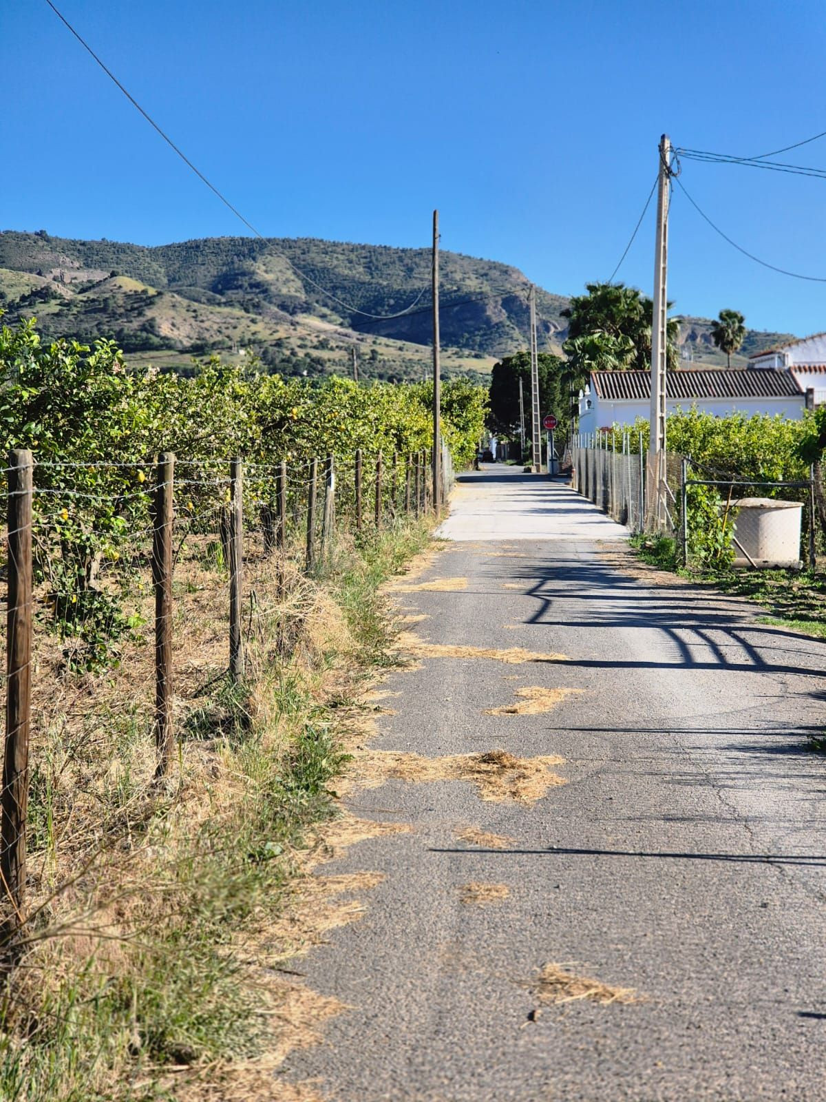 Se vende Terreno Rustico  en Costa Del Sol, Málaga, España