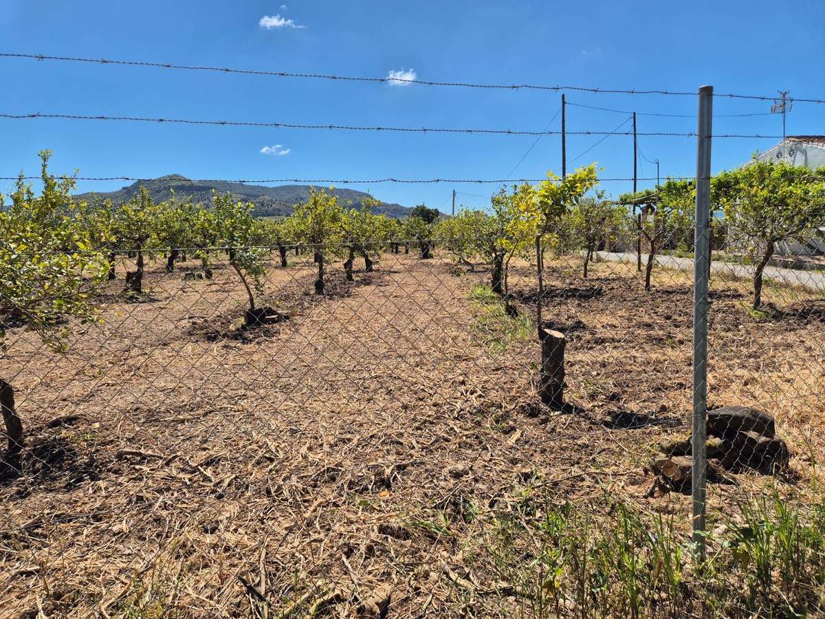 Se vende Terreno Rustico  en Costa Del Sol, Málaga, España