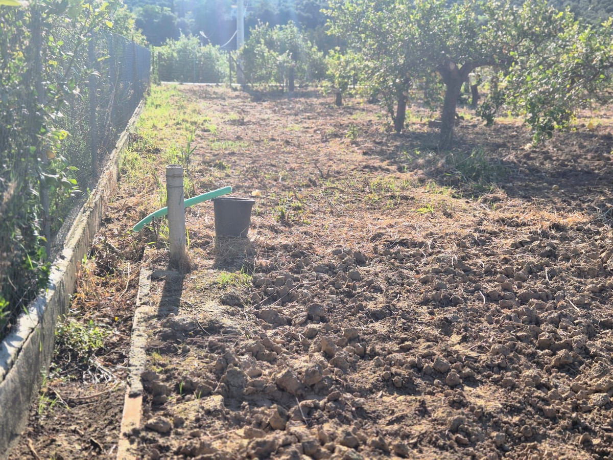 Se vende Terreno Rustico  en Costa Del Sol, Málaga, España
