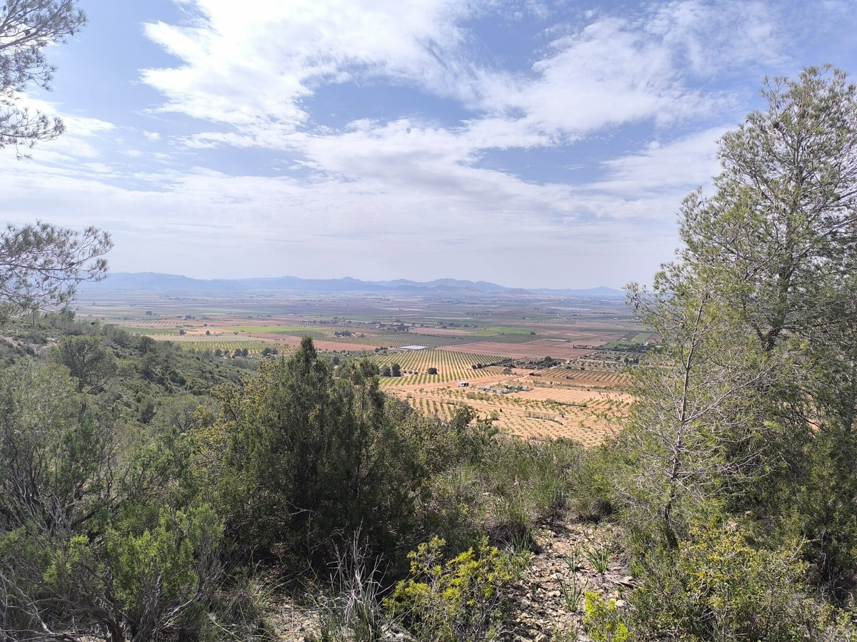 Plots for sale in Yecla Costa Calida, Murcia, Spain