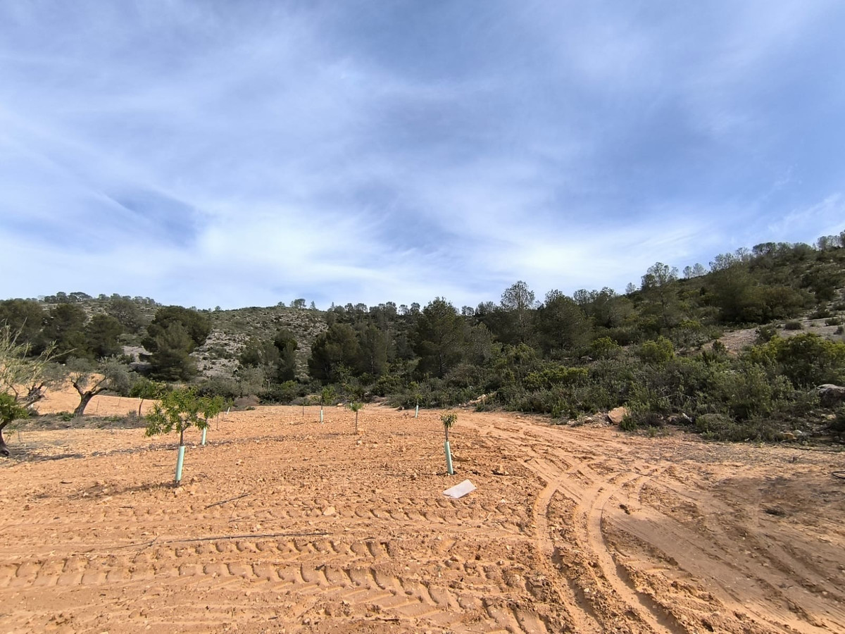 Plots for sale in Yecla Costa Calida, Murcia, Spain