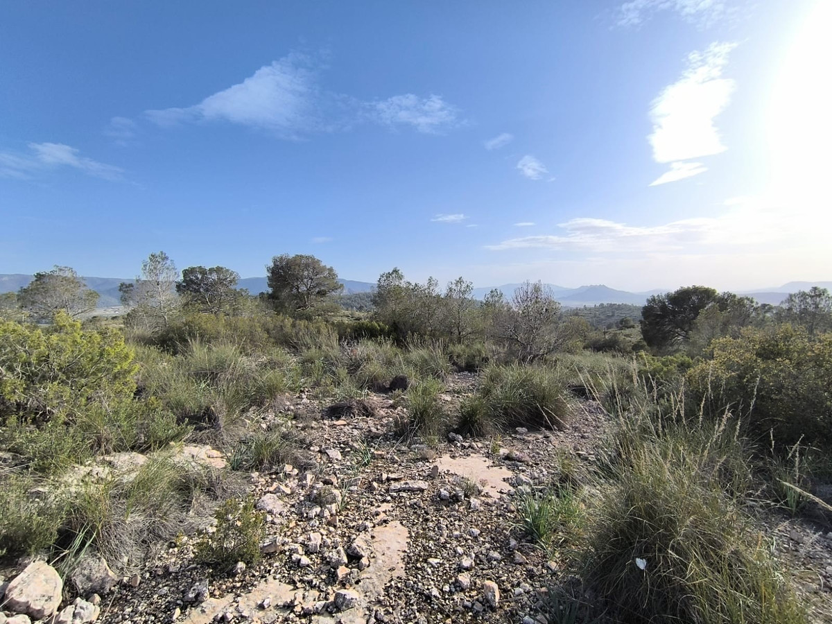 Plots for sale in Yecla Costa Calida, Murcia, Spain