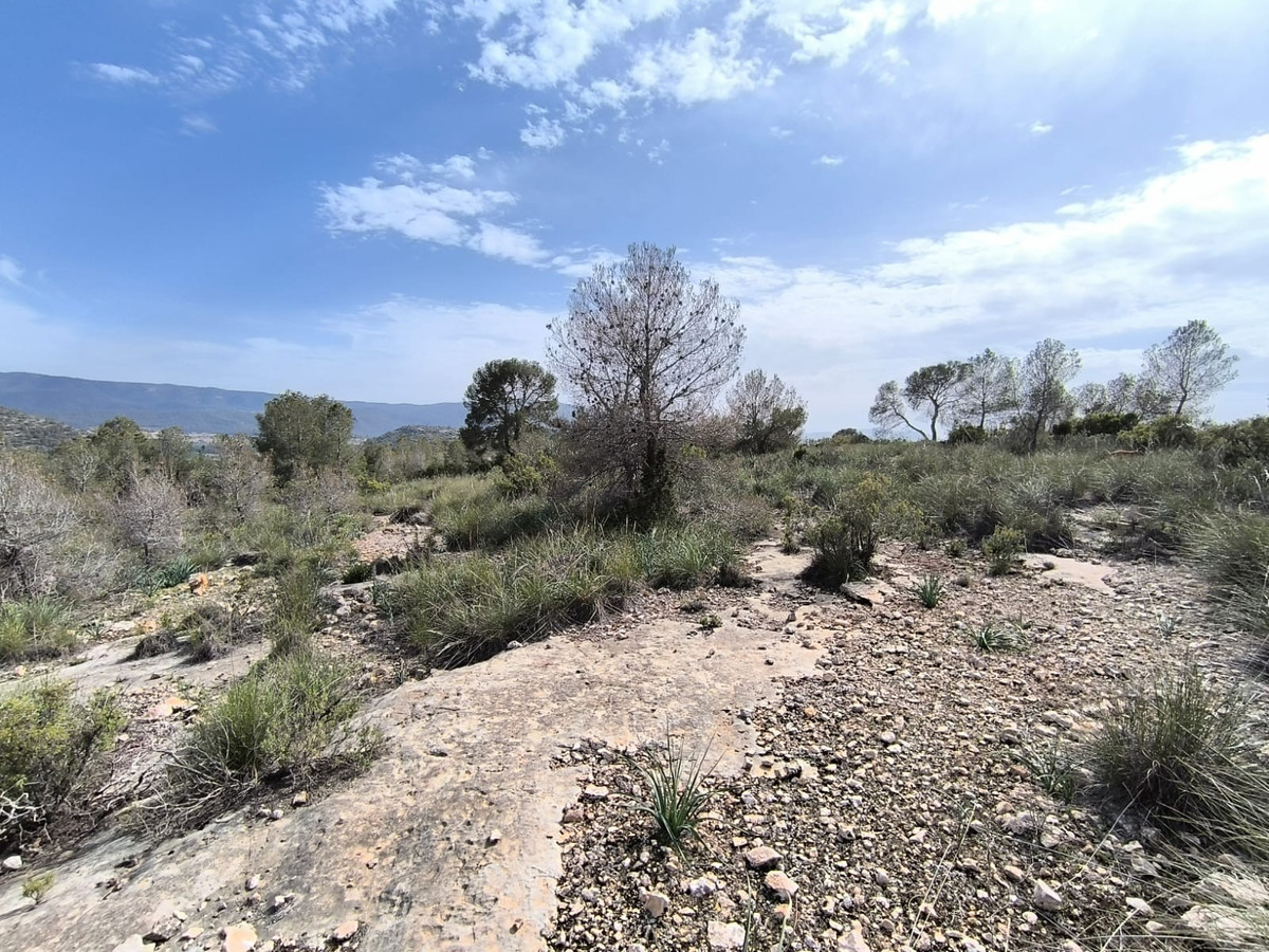 Plots for sale in Yecla Costa Calida, Murcia, Spain