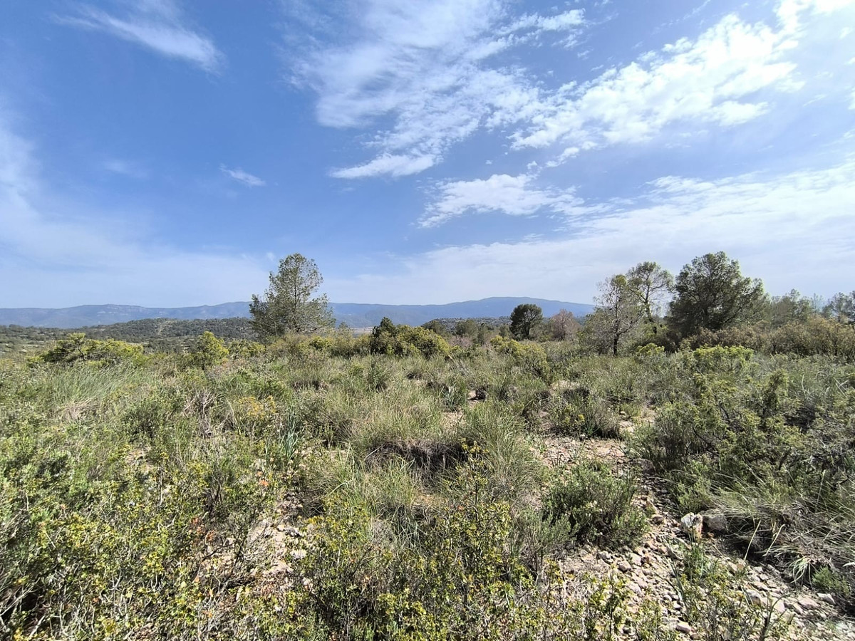 Plots for sale in Yecla Costa Calida, Murcia, Spain