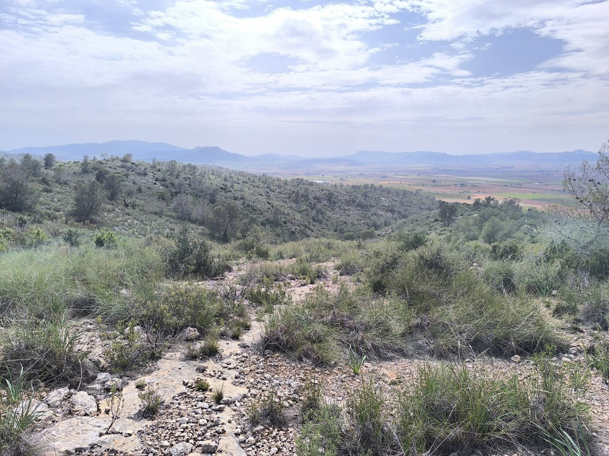 Plots for sale in Yecla Costa Calida, Murcia, Spain