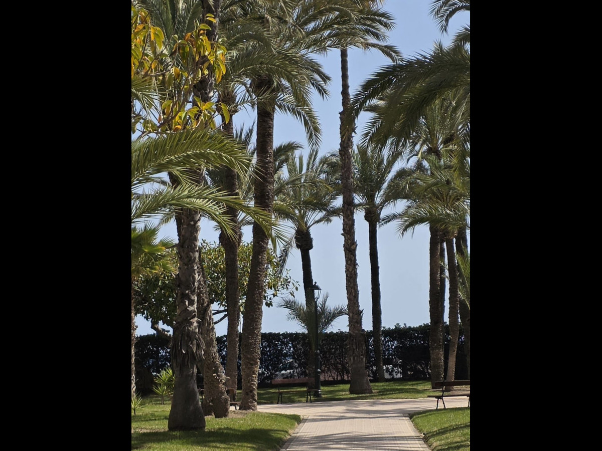 Se vende Apartamento Planta Baja de 1 dormitorios en Costa Blanca, Alicante, España