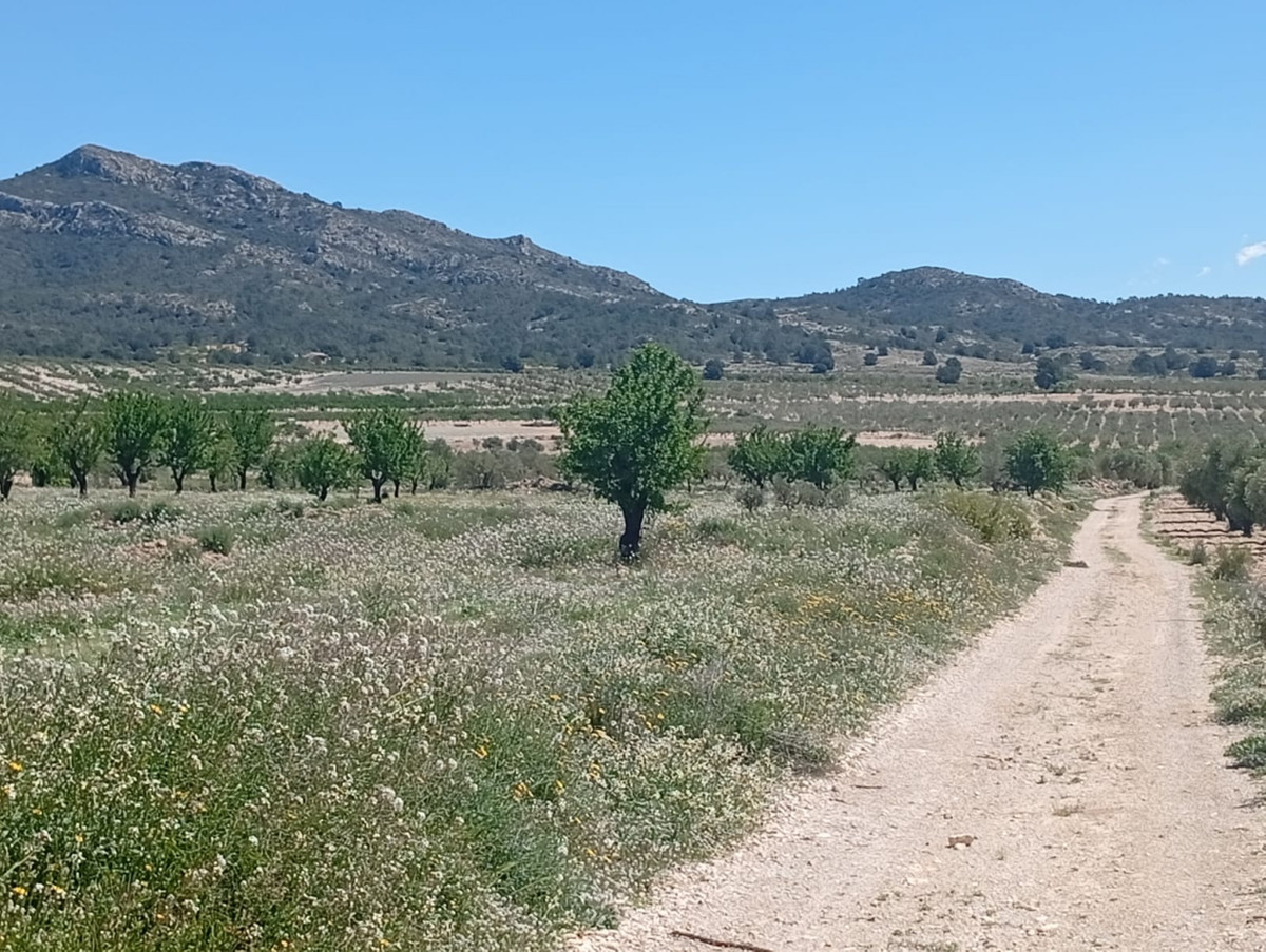 Plots for sale in Salinas Costa Blanca, Alicante, Spain