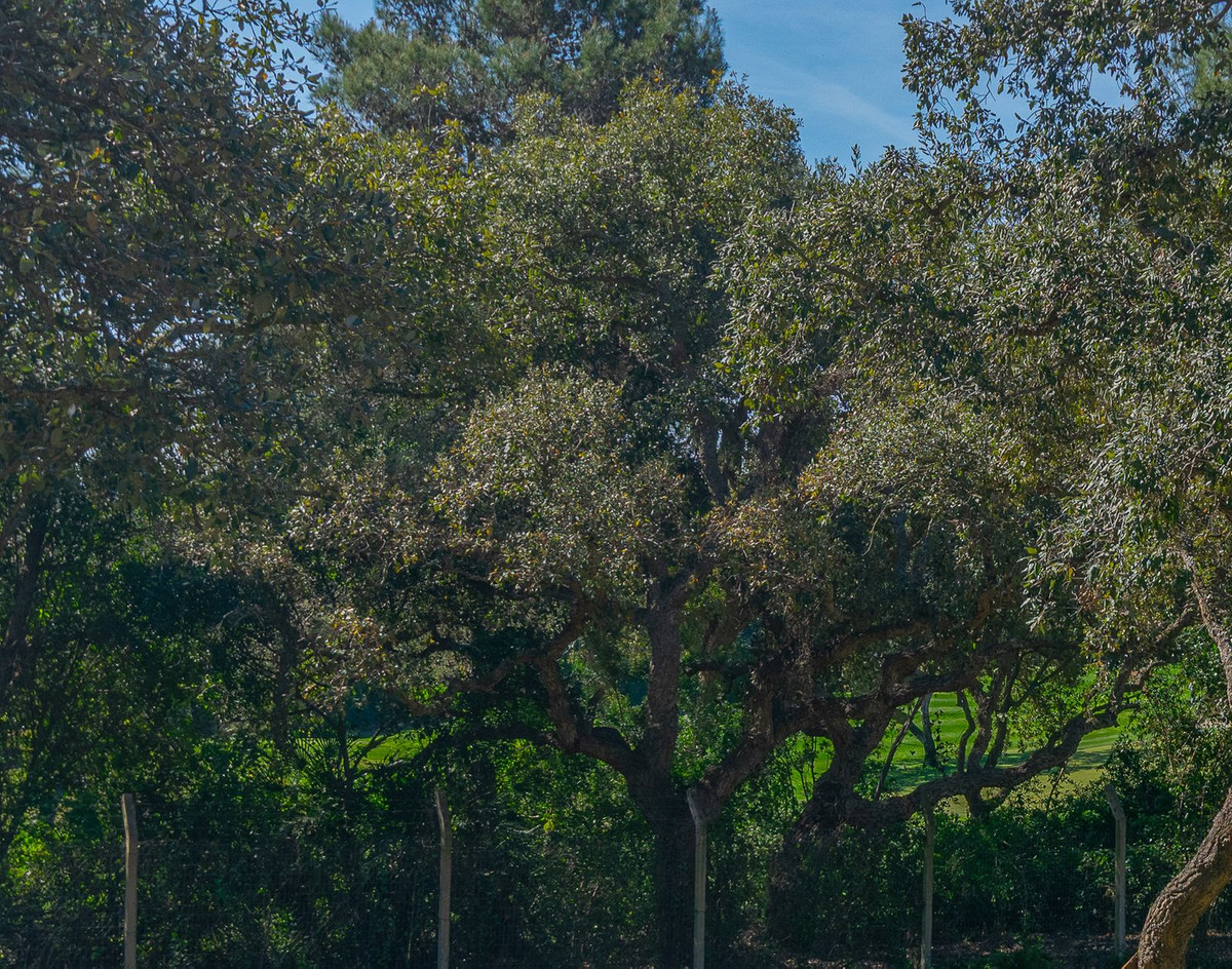 Se vende Terreno Urbano  en Costa Del Sol, Cadiz, España
