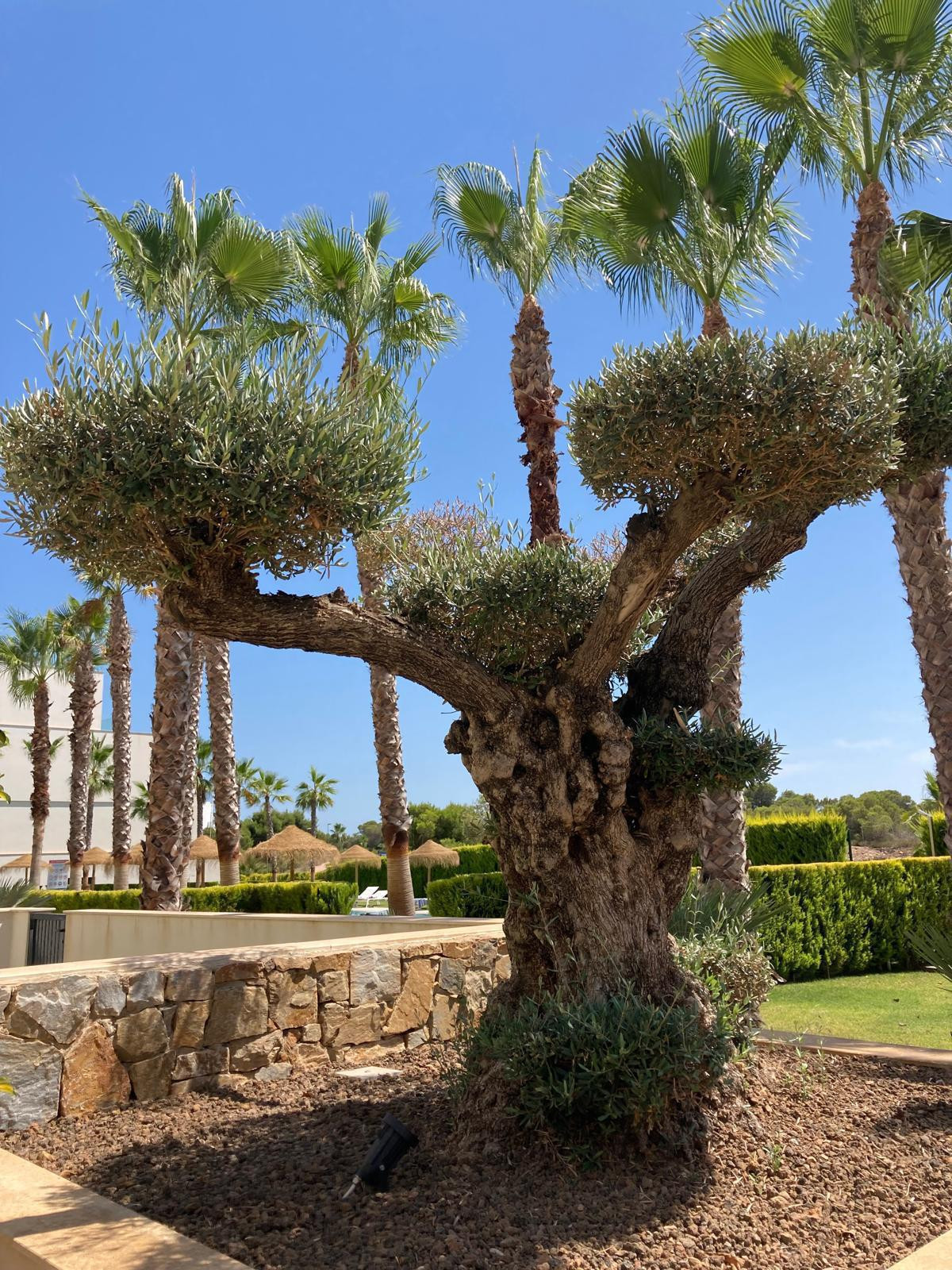 Se vende Apartamento Planta Media de 2 dormitorios en Costa Blanca, Alicante, España