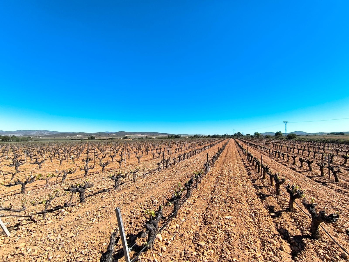 Plots for sale in Yecla Costa Calida, Murcia, Spain
