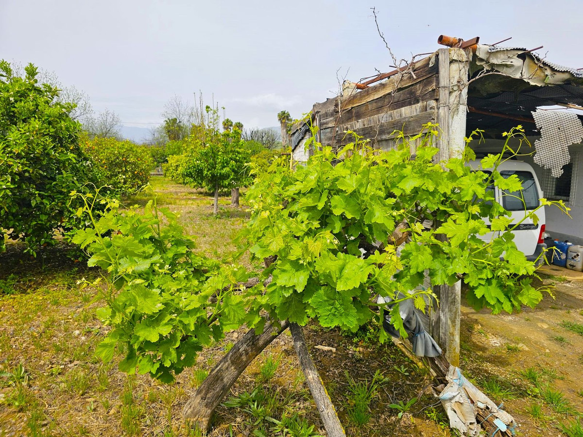 Se vende Finca - Cortijo de 1 dormitorios en Costa Del Sol, Málaga, España
