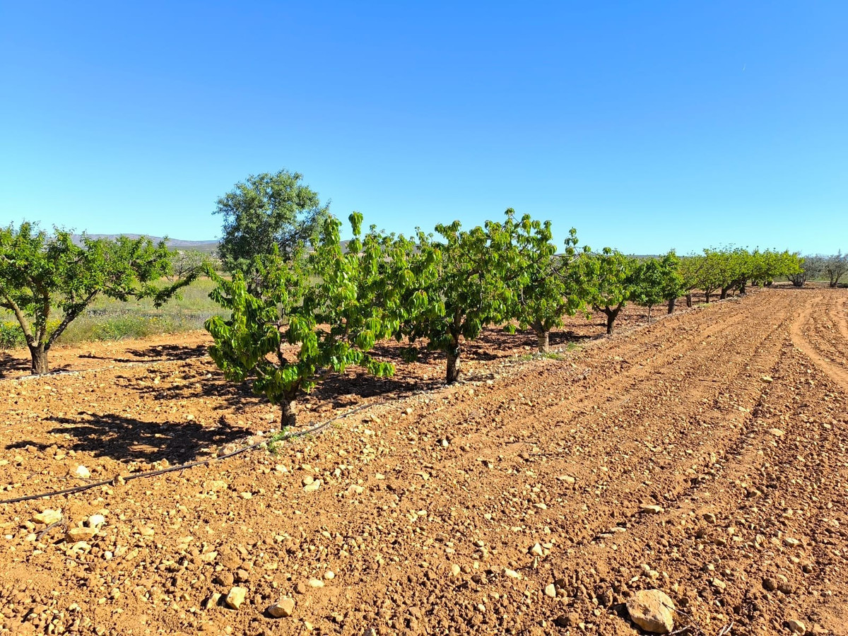 Se vende Finca - Cortijo de 4 dormitorios en Costa Calida, Murcia, España