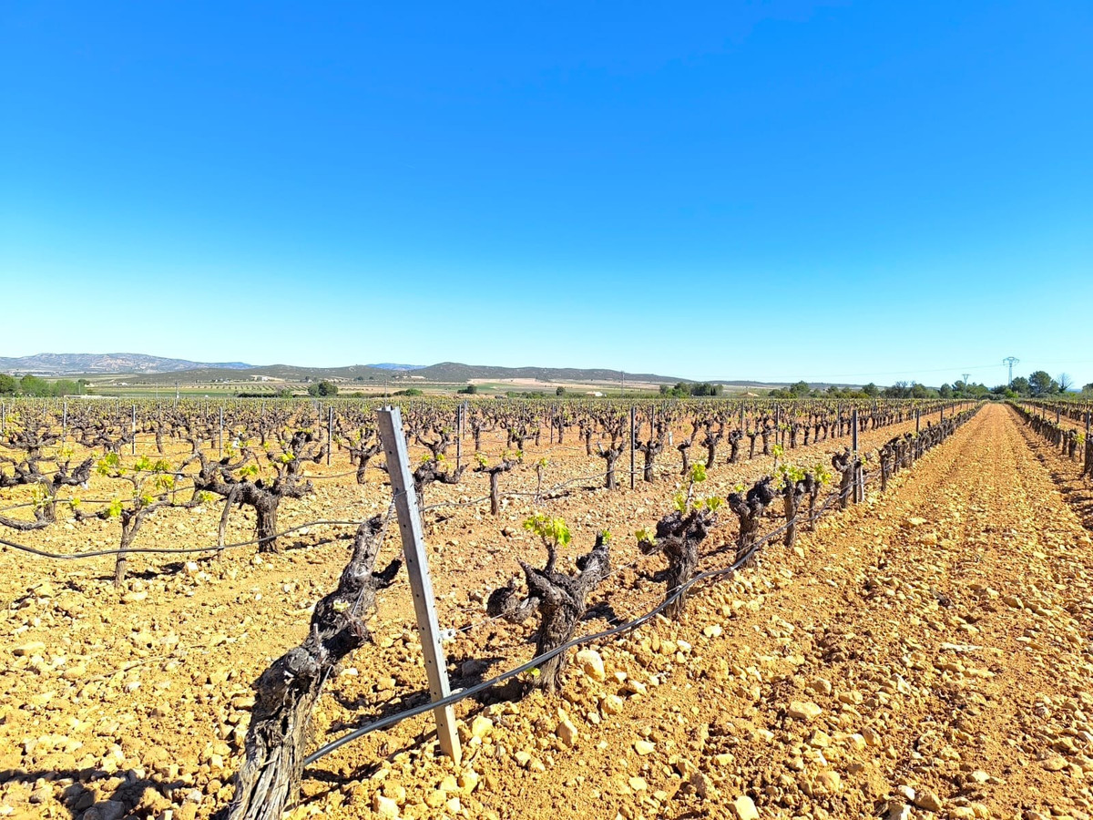 Se vende Finca - Cortijo de 10 dormitorios en Costa Calida, Murcia, España