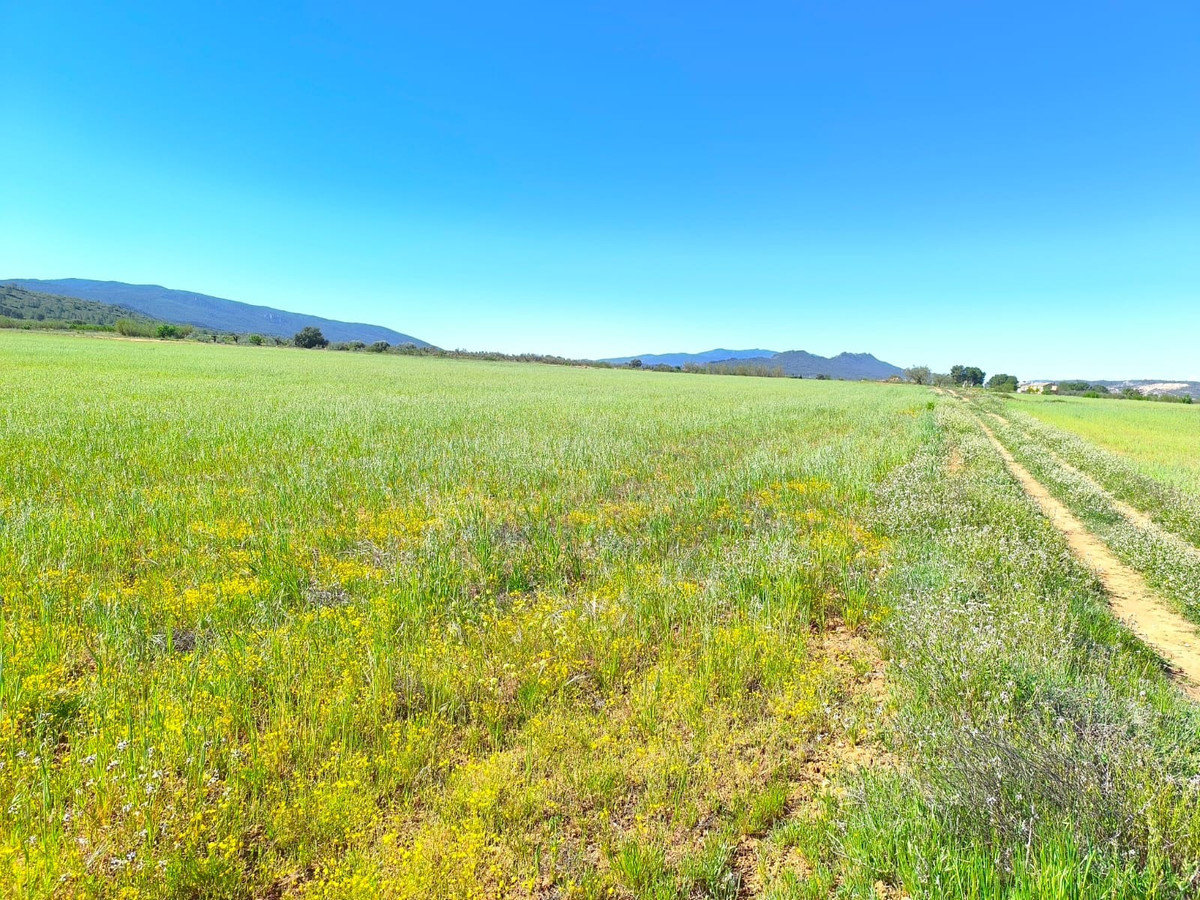 Se vende Terreno Rustico  en Costa Calida, Murcia, España