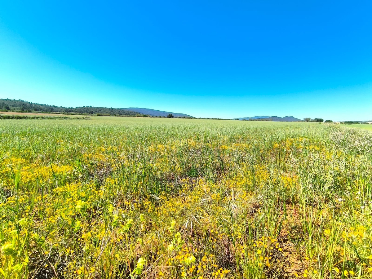 Se vende Terreno Rustico  en Costa Calida, Murcia, España