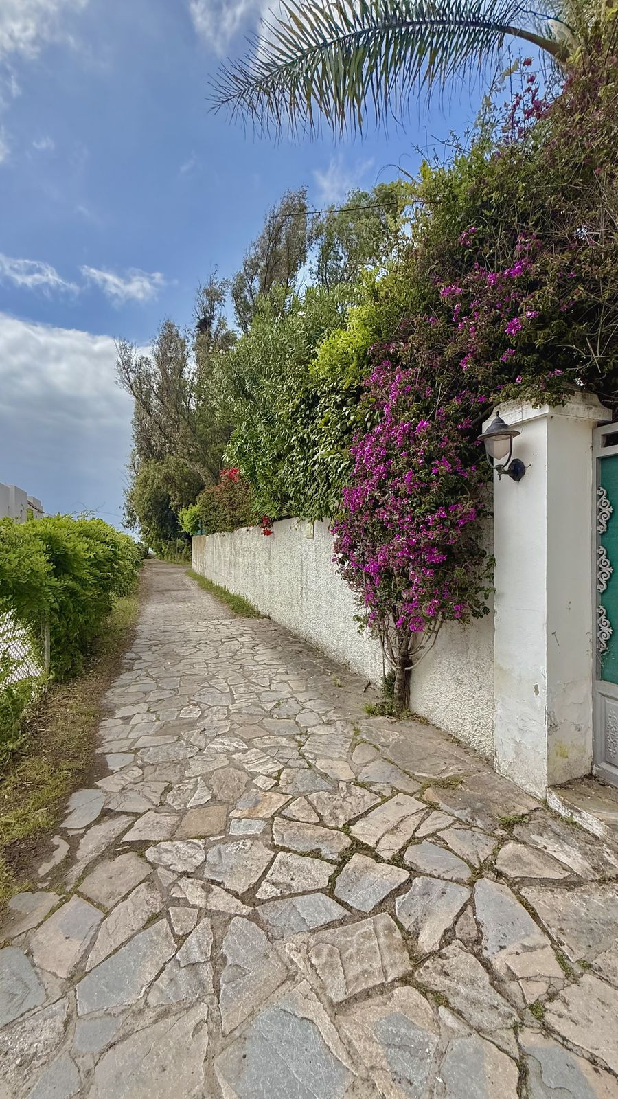 5 Bed Townhouse for sale in New Golden Mile Costa Del Sol, Málaga, Spain