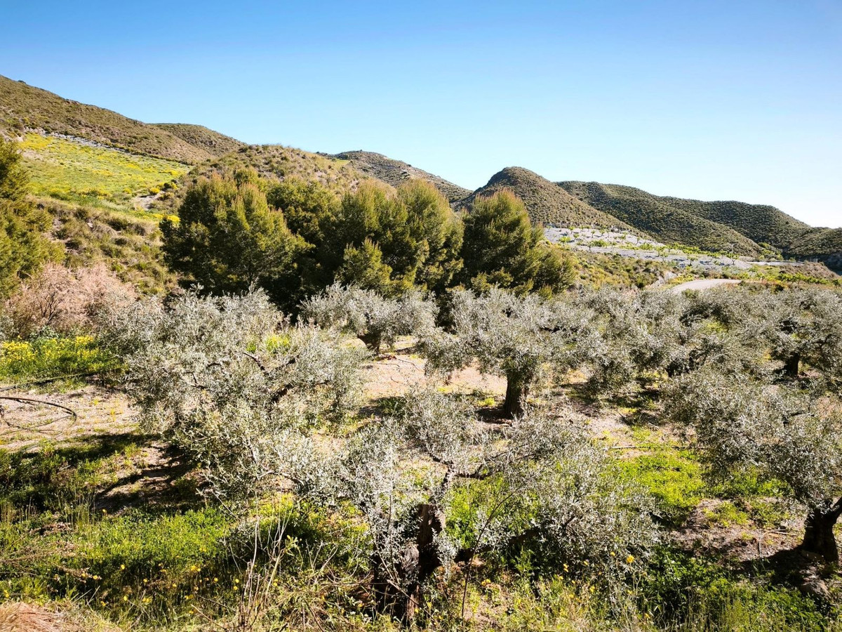 Plots for sale in Lorca Costa Calida, Murcia, Spain