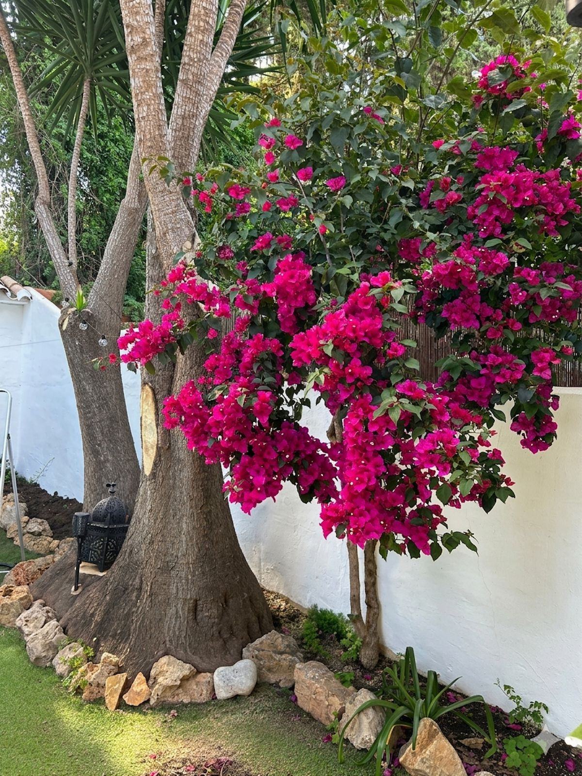 3 Bed Townhouse for sale in Nueva Andalucía Costa Del Sol, Málaga, Spain