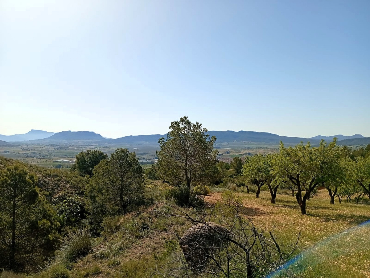 Se vende Casa Cueva de 2 dormitorios en Costa Blanca, Alicante, España