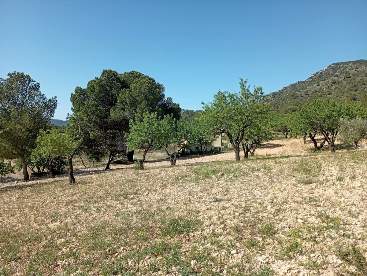 Se vende Casa Cueva de 2 dormitorios en Costa Blanca, Alicante, España