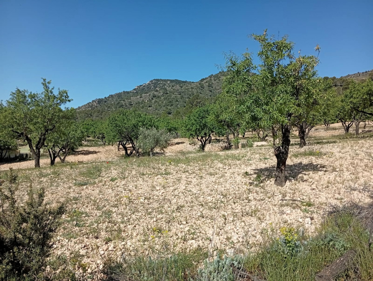 Se vende Casa Cueva de 2 dormitorios en Costa Blanca, Alicante, España